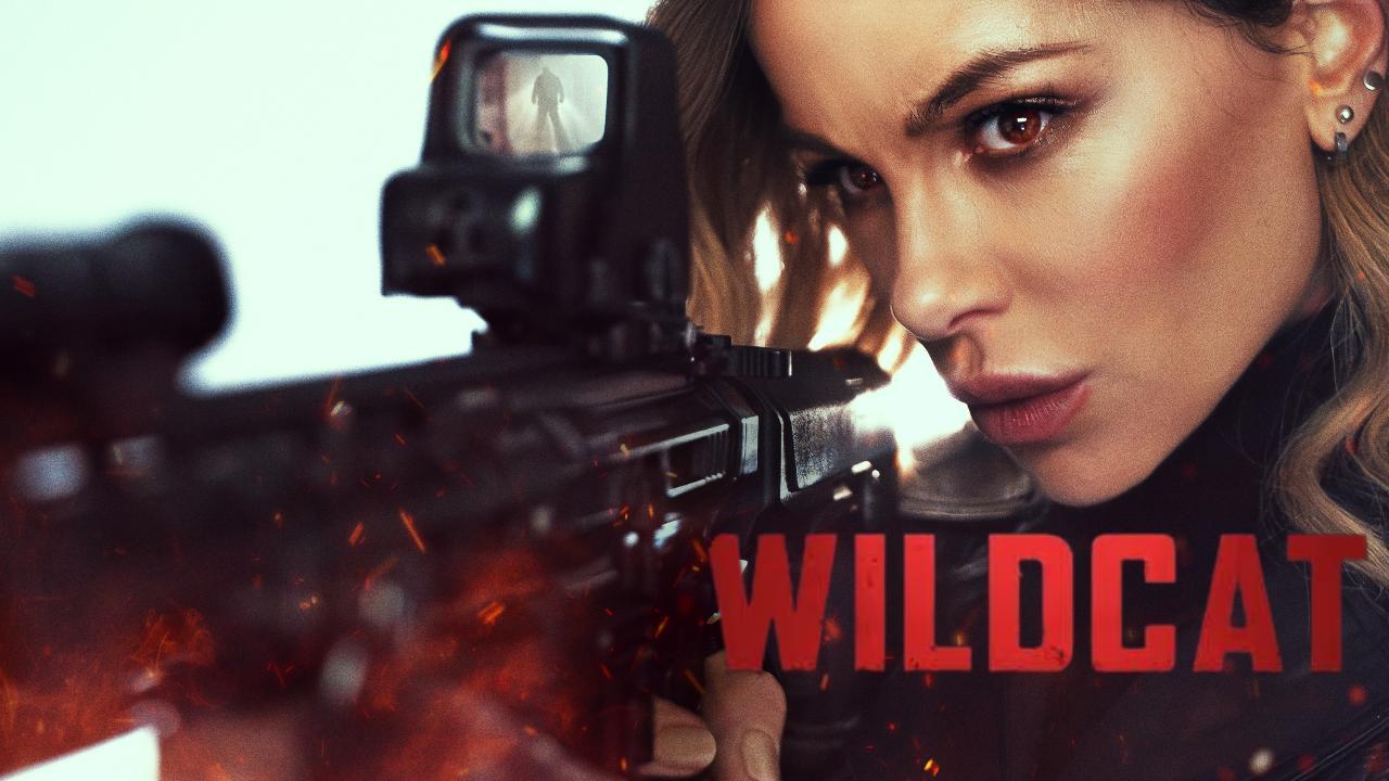 فيلم Wildcat 2025 مترجم